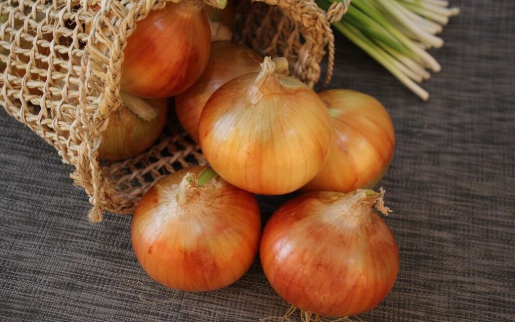 лук