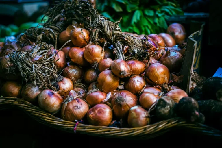 Лук