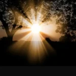 магнитная буря