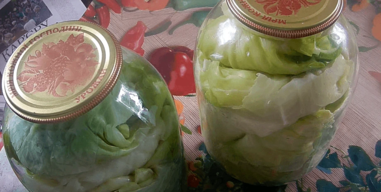 маринованная капуста для голубцов