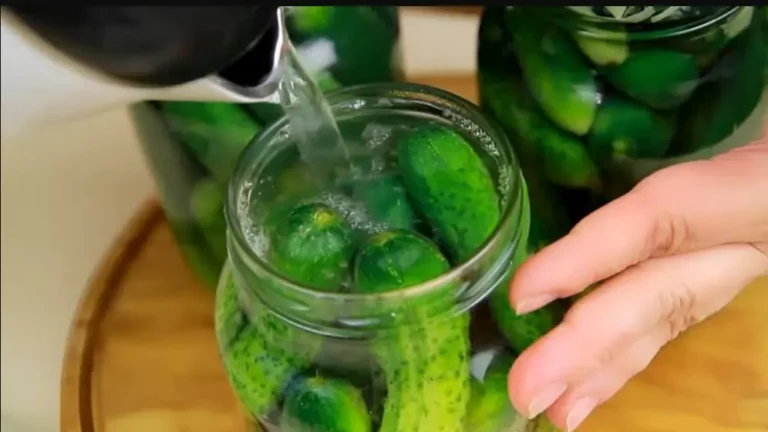 маринованные огурцы
