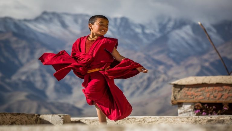 тибетская настойка