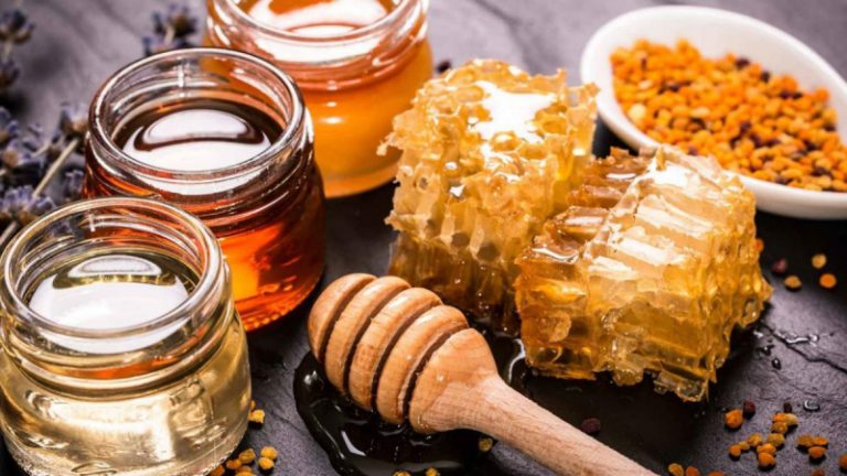 Мед из Одесской области будет экспортирован в Европу