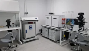 малоінвазивна хірургія