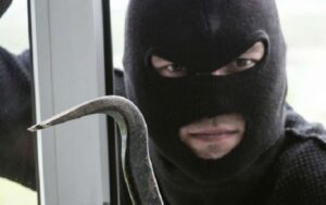 метки мародеров