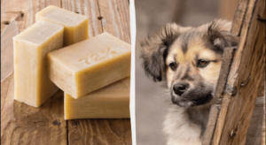 мыло хозяйственное