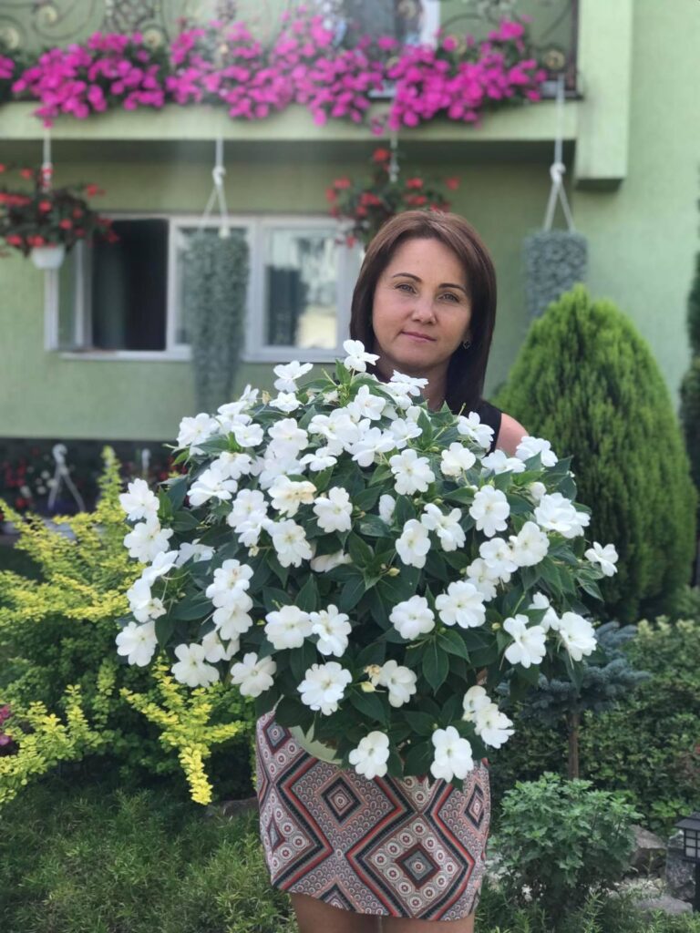 Мирослава