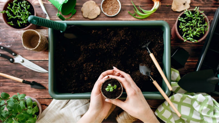 лунный посевной календарь на январь 2026