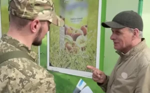 Мобилизация