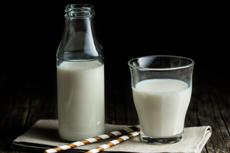 Какое молоко полезнее: козье или коровье?