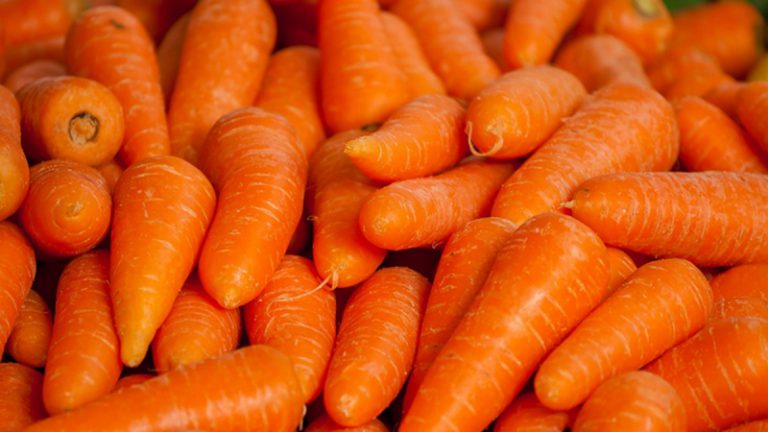 Первую морковь в Херсонской области планируют собрать уже в конце марта