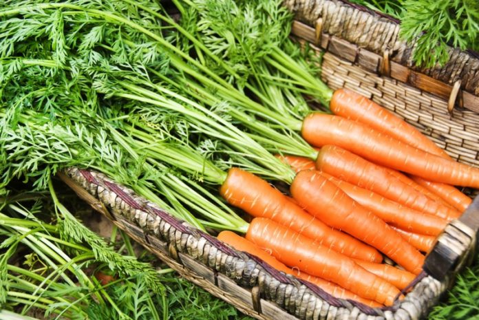 Как сохранить морковь без потерь