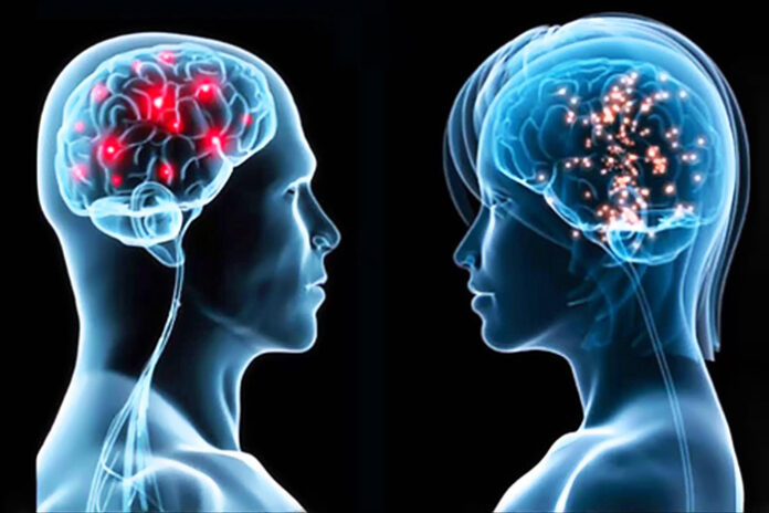 Мозок: чим відрізняються чоловічий та жіночий типи мислення