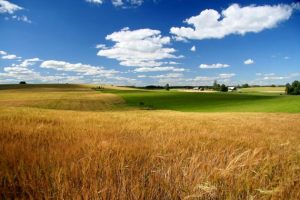 можно ли продать земельный пай?