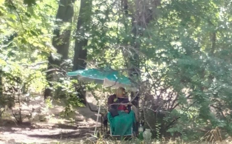 В Одессе сын оставил пожилую женщину-инвалида жить в парке