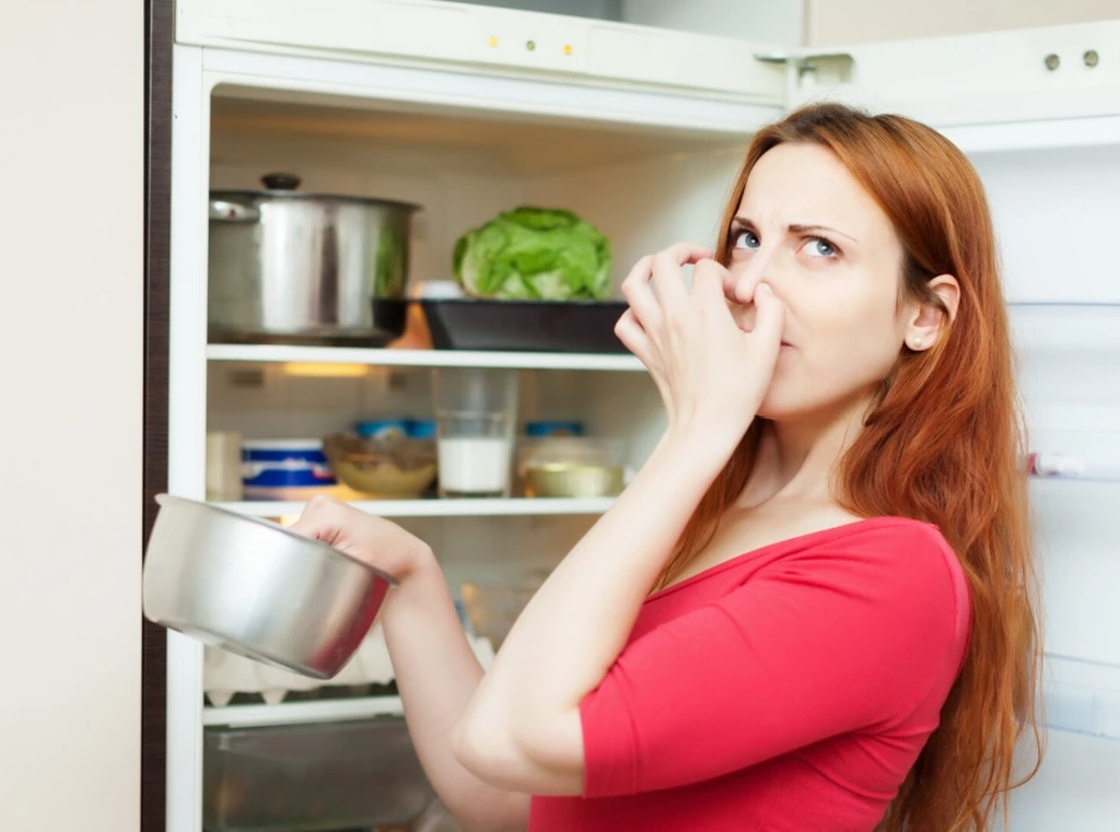 холодильник