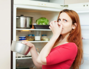 неприятный запах из холодильника