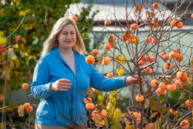 Лідія Чернецька