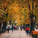 осенний пейзаж