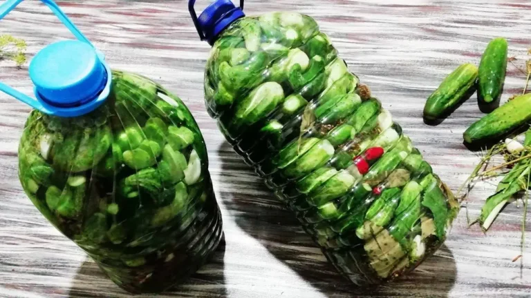 Огурцы в бутылке
