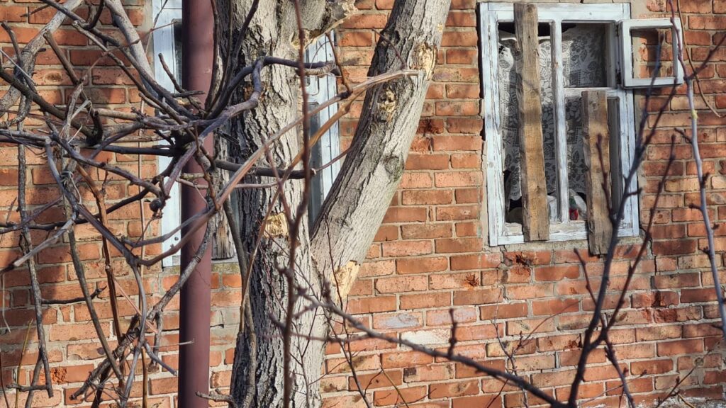 как защититься от взрывов в доме с окнами