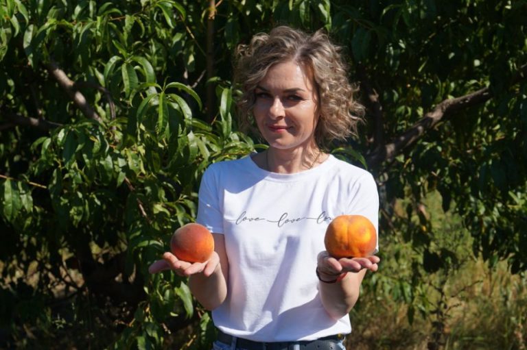 В Одесской области вырастили персики весом 1,2 кг