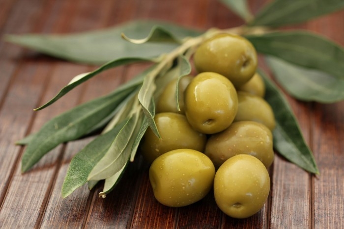 Эксперты назвали три области, где можно выращивать оливки