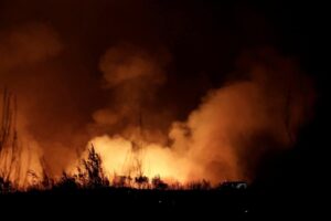 Пожарная опасность