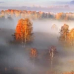 осенние туманы