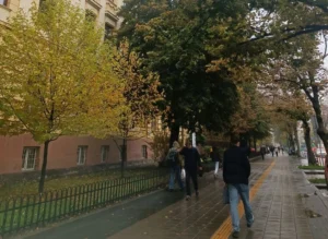 осень
