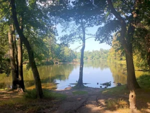 осінь у Пущі-Водиці