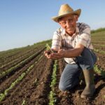 Пенсіонер у полі