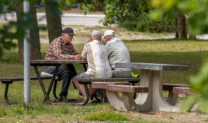 старики в парке