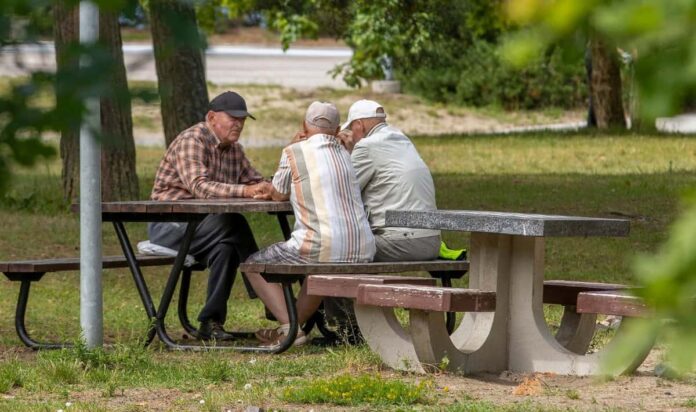 старики в парке