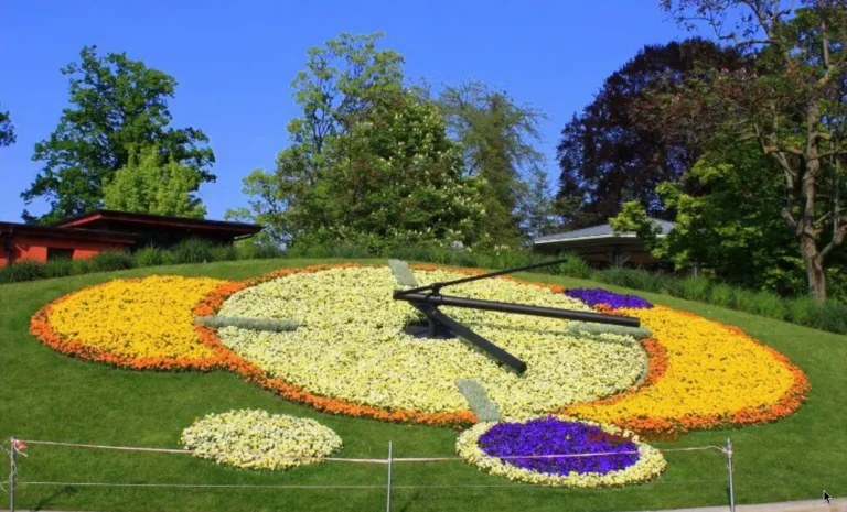 цветочные чвсы