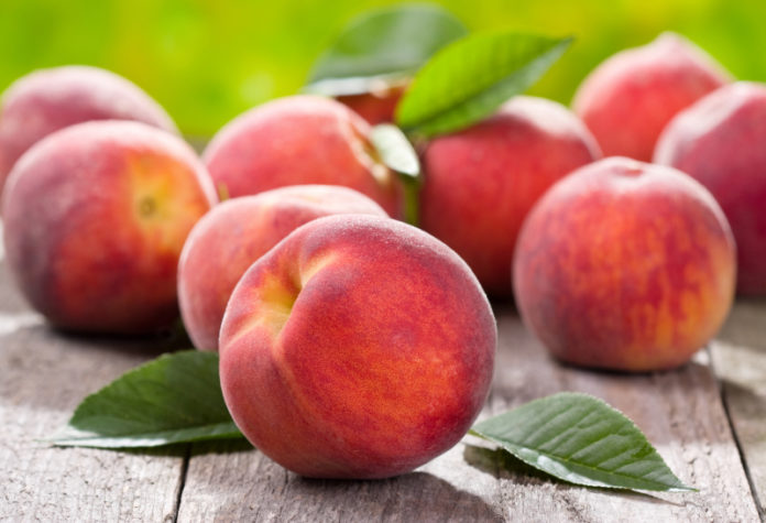 Известный днепропетровский садовод назвал 15 самых крупноплодных сортов персика