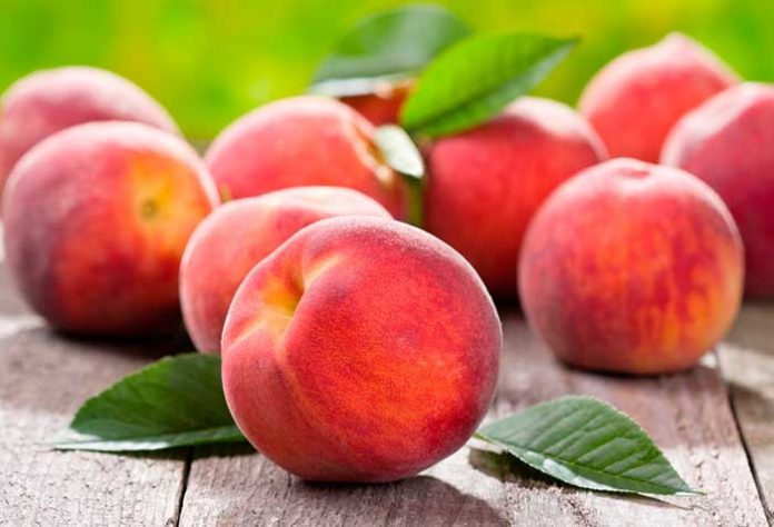 Как спасти персики от монилиоза?