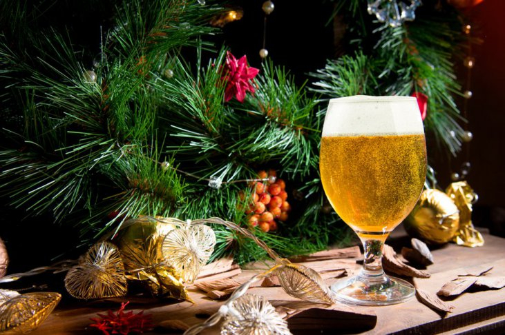 В Нидерландах не выбрасывают новогодние елки — из них готовят пиво