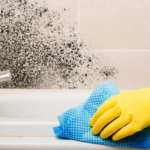 пліснява на стіні