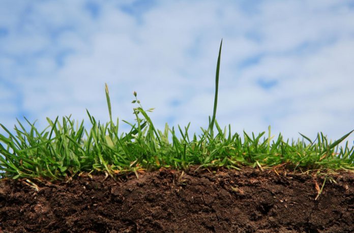 Как сделать почву в саду плодородной?