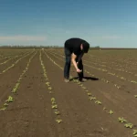 податок на землю