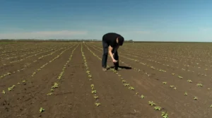 налог на землю