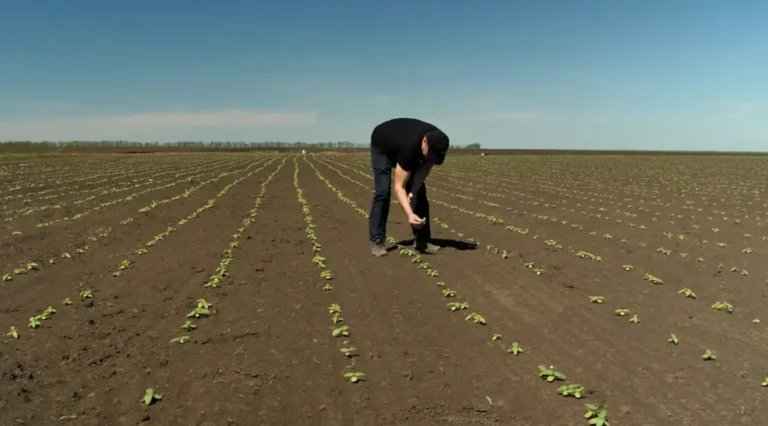 налог на землю