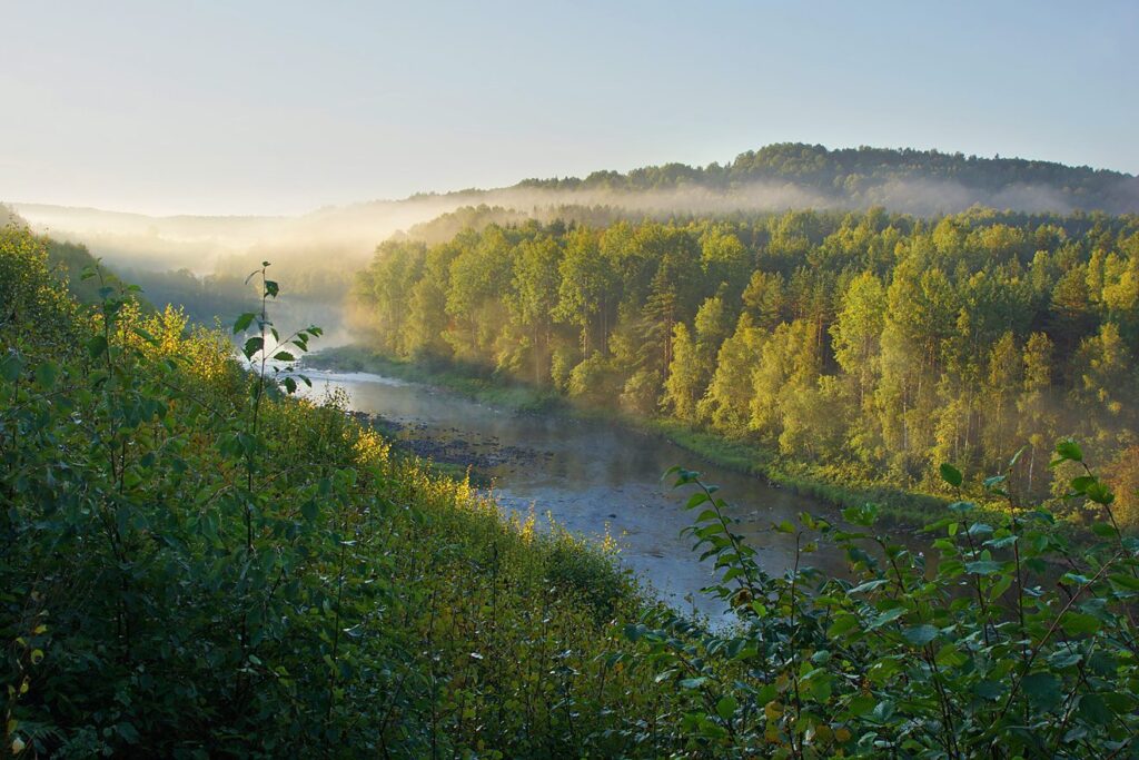 погода