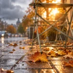 погода 17 сентября