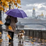 погода 21 сентября