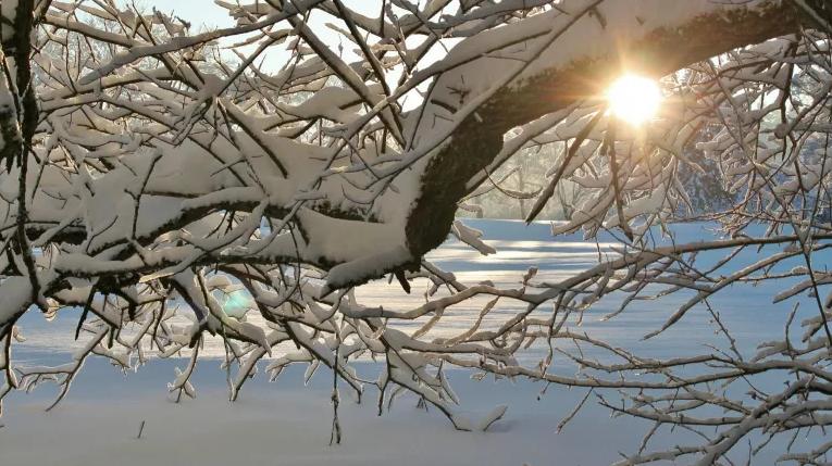 Прогноз погоды в Украине на субботу и выходные 28 – 29 января