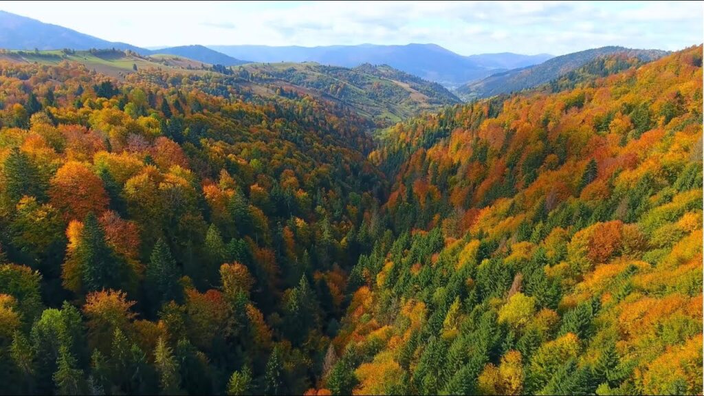 погода