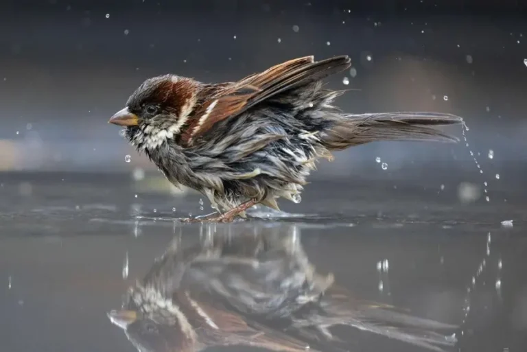 погода в марте