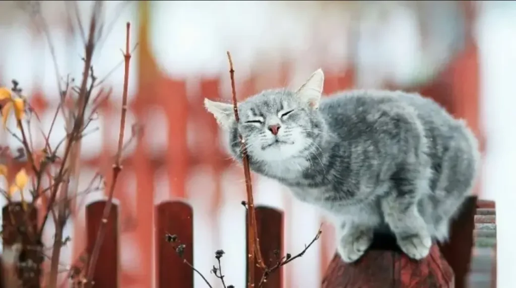 погода в марте